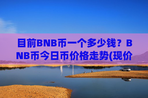 目前BNB币一个多少钱？BNB币今日币价格走势(现价5323.13元)