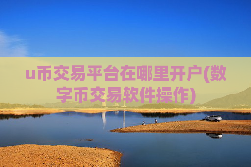 u币交易平台在哪里开户(数字币交易软件操作)