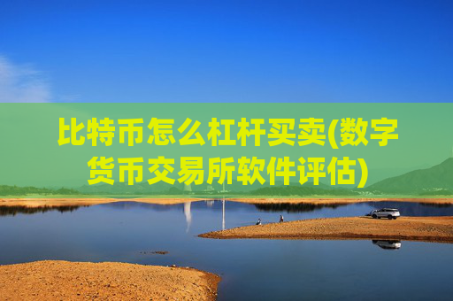 比特币怎么杠杆买卖(数字货币交易所软件评估)