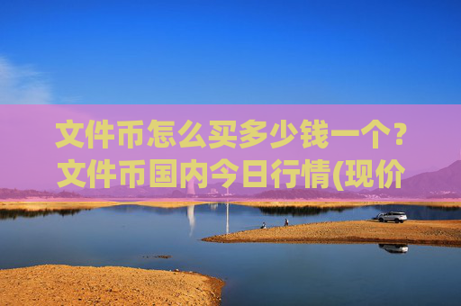 文件币怎么买多少钱一个?文件币国内今日行情(现价58.1651元)