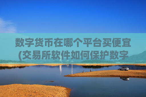 数字货币在哪个平台买便宜(交易所软件如何保护数字资产安全)