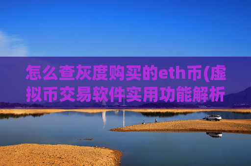 怎么查灰度购买的eth币(虚拟币交易软件实用功能解析)