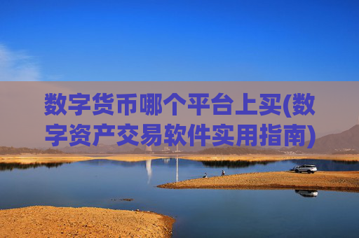 数字货币哪个平台上买(数字资产交易软件实用指南)