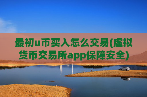 最初u币买入怎么交易(虚拟货币交易所app保障安全)