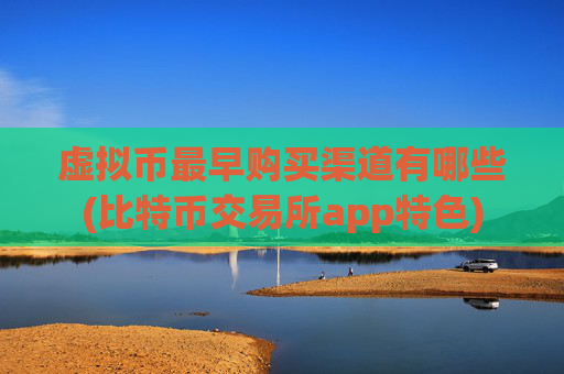 虚拟币最早购买渠道有哪些(比特币交易所app特色)