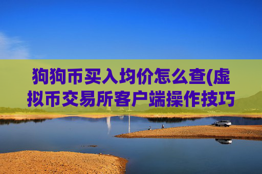 狗狗币买入均价怎么查(虚拟币交易所客户端操作技巧)