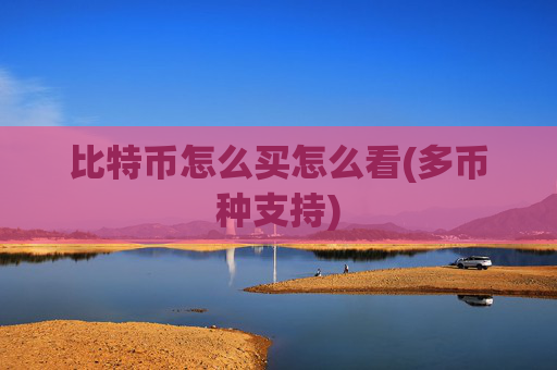 比特币怎么买怎么看(多币种支持)