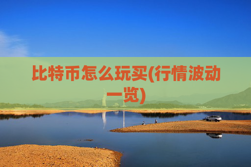 比特币怎么玩买(行情波动一览)
