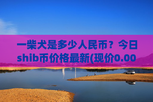 一柴犬是多少人民币?今日shib币价格最新(现价0.00022925元)