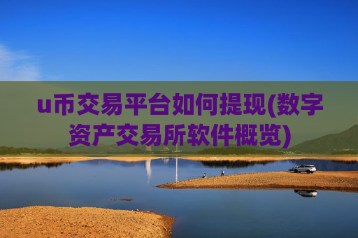 u币交易平台如何提现(数字资产交易所软件概览)