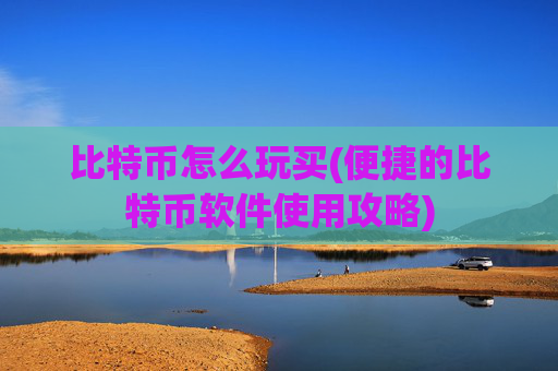 比特币怎么玩买(便捷的比特币软件使用攻略)