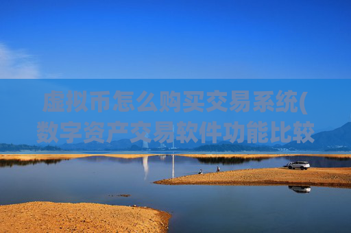 虚拟币怎么购买交易系统(数字资产交易软件功能比较)