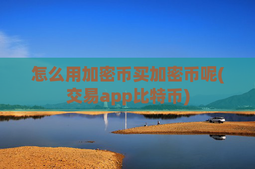 怎么用加密币买加密币呢(交易app比特币)