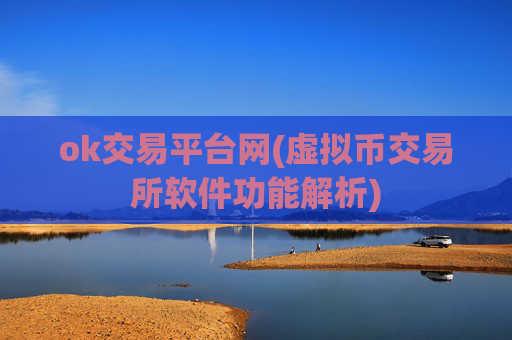 ok交易平台网(虚拟币交易所软件功能解析)