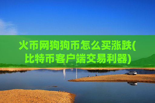 火币网狗狗币怎么买涨跌(比特币客户端交易利器)