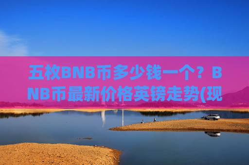 五枚BNB币多少钱一个？BNB币最新价格英镑走势(现价5328.51元)