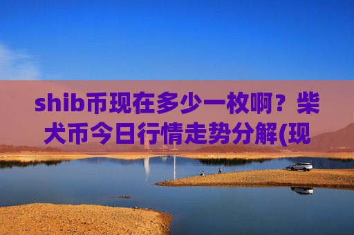 shib币现在多少一枚啊?柴犬币今日行情走势分解(现价0.00022961元)