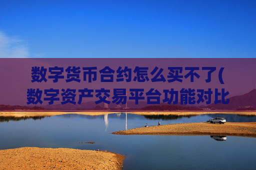 数字货币合约怎么买不了(数字资产交易平台功能对比)