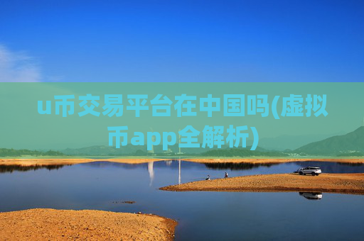 u币交易平台在中国吗(虚拟币app全解析)