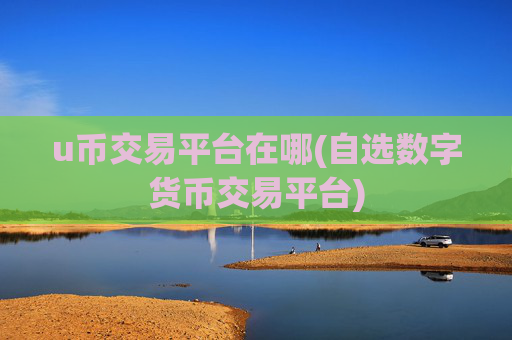 u币交易平台在哪(自选数字货币交易平台)