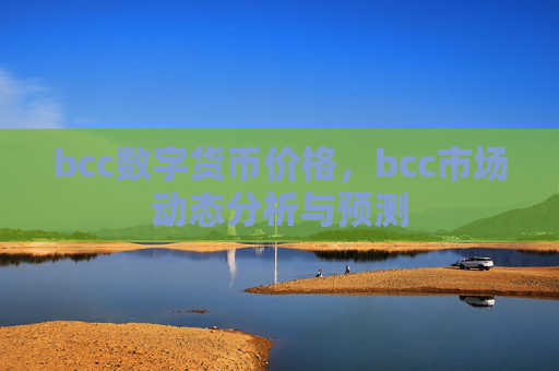 bcc数字货币价格，bcc市场动态分析与预测