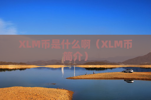XLM币是什么啊(XLM币简介)