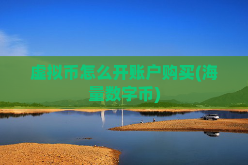 虚拟币怎么开账户购买(海量数字币)