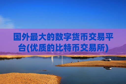 国外最大的数字货币交易平台(优质的比特币交易所)