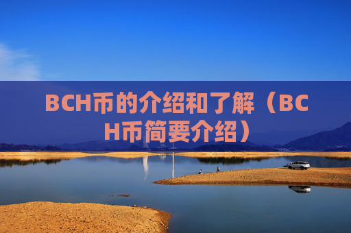 BCH币的介绍和了解(BCH币简要介绍)