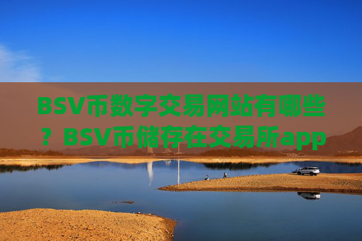 BSV币数字交易网站有哪些？BSV币储存在交易所app下载