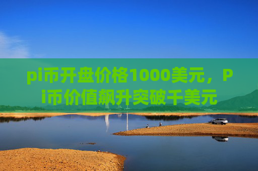 pi币开盘价格1000美元,Pi币价值飙升突破千美元