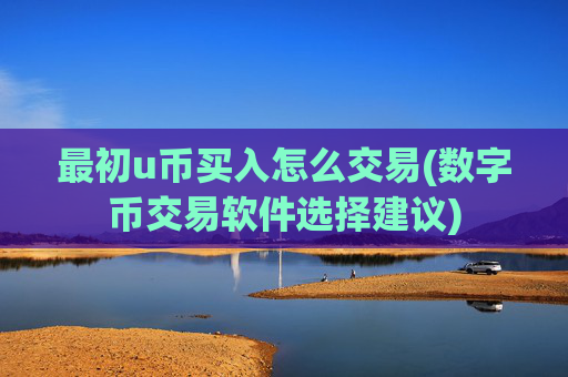 最初u币买入怎么交易(数字币交易软件选择建议)