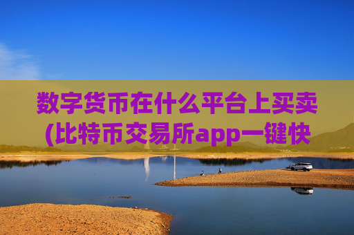 数字货币在什么平台上买卖(比特币交易所app一键快速交易)
