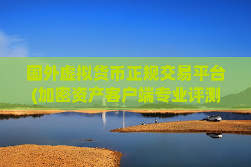 国外虚拟货币正规交易平台(加密资产客户端专业评测)
