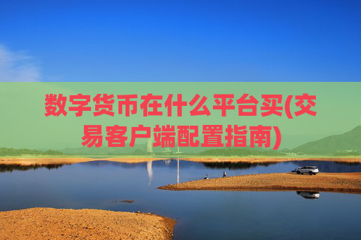 数字货币在什么平台买(交易客户端配置指南)