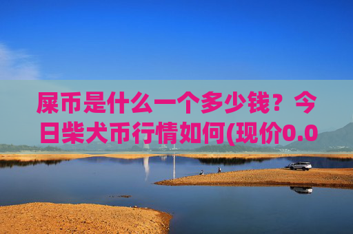 屎币是什么一个多少钱?今日柴犬币行情如何(现价0.00022696元)
