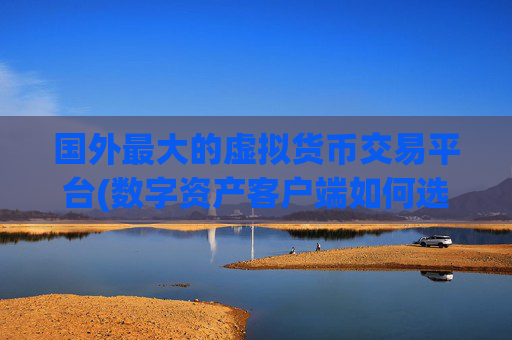 国外最大的虚拟货币交易平台(数字资产客户端如何选择)