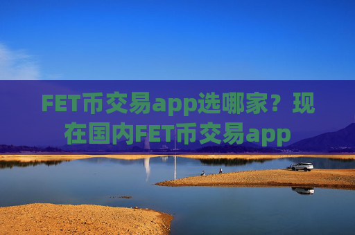 FET币交易app选哪家?现在国内FET币交易app