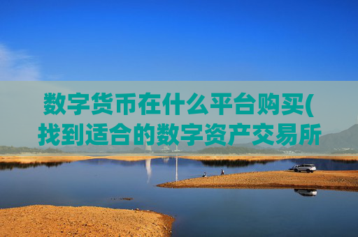 数字货币在什么平台购买(找到适合的数字资产交易所)