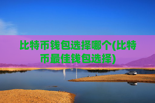 比特币钱包选择哪个(比特币最佳钱包选择)