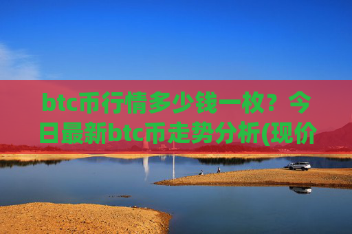 btc币行情多少钱一枚?今日最新btc币走势分析(现价745157.56元)