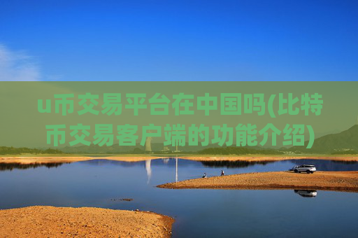 u币交易平台在中国吗(比特币交易客户端的功能介绍)