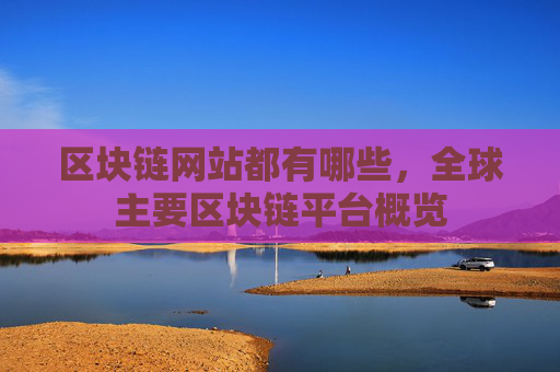 区块链网站都有哪些,全球主要区块链平台概览
