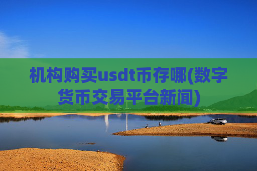 机构购买usdt币存哪(数字货币交易平台新闻)