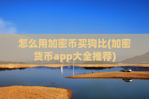 怎么用加密币买狗比(加密货币app大全推荐)