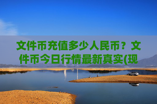 文件币充值多少人民币?文件币今日行情最新真实(现价59.1976元)