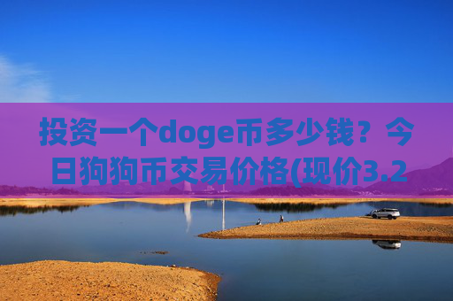 投资一个doge币多少钱?今日狗狗币交易价格(现价3.2062元)