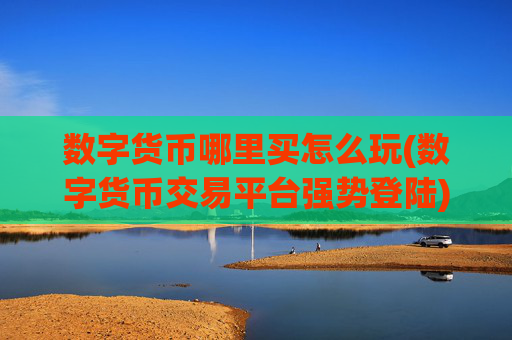 数字货币哪里买怎么玩(数字货币交易平台强势登陆)