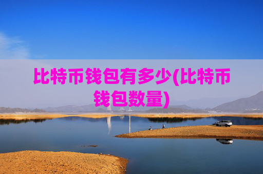 比特币钱包有多少(比特币钱包数量)