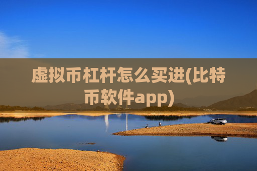 虚拟币杠杆怎么买进(比特币软件app)